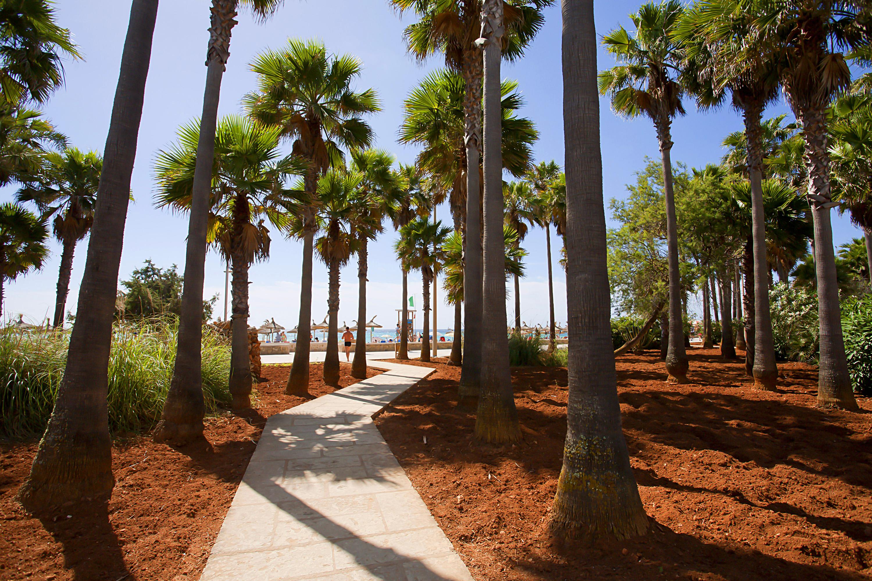 Hipotels Mediterraneo Club Sa Coma  Ngoại thất bức ảnh